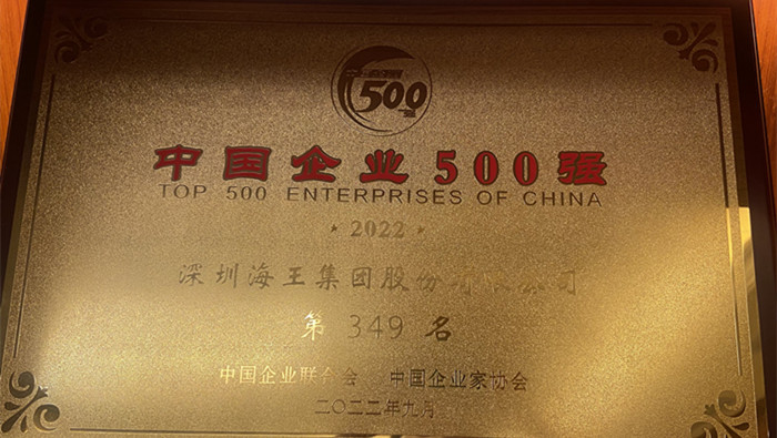 和记娱乐官网集团位列2022中国企业500强第349位、2022中国民营企业500强第155位 